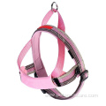 Custom Logo Neoprene and Nylon Dog Harness